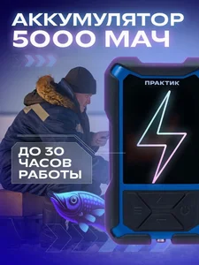 ������ ������� 8 ����