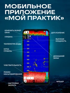 ������ ������� 8 ���� ����