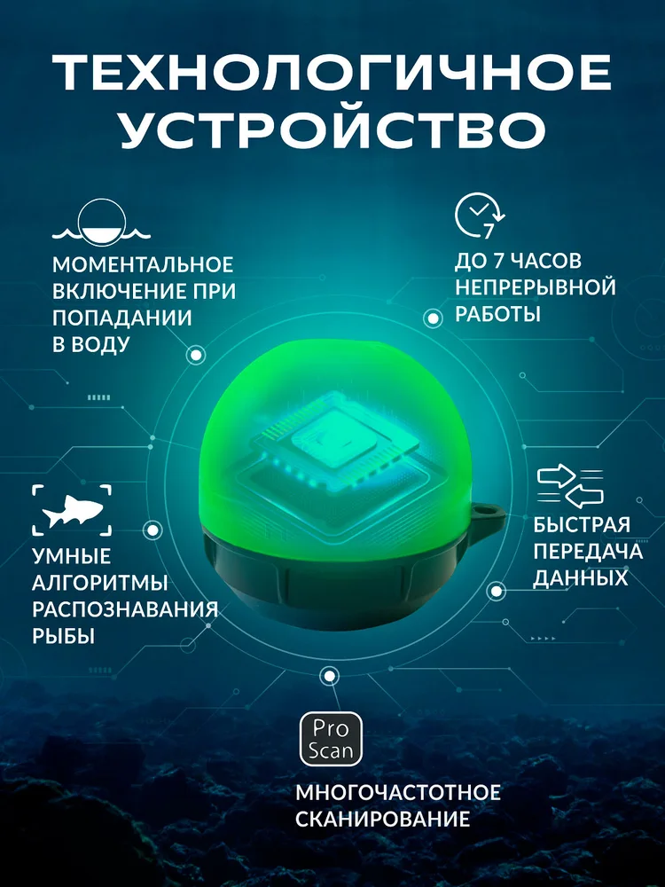 �������� �8 ���� � ��������